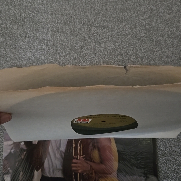 Herb Alpert & the Tijuana Brass, What Now My Love LP Vinyl 1960's - Picture 4 of 6